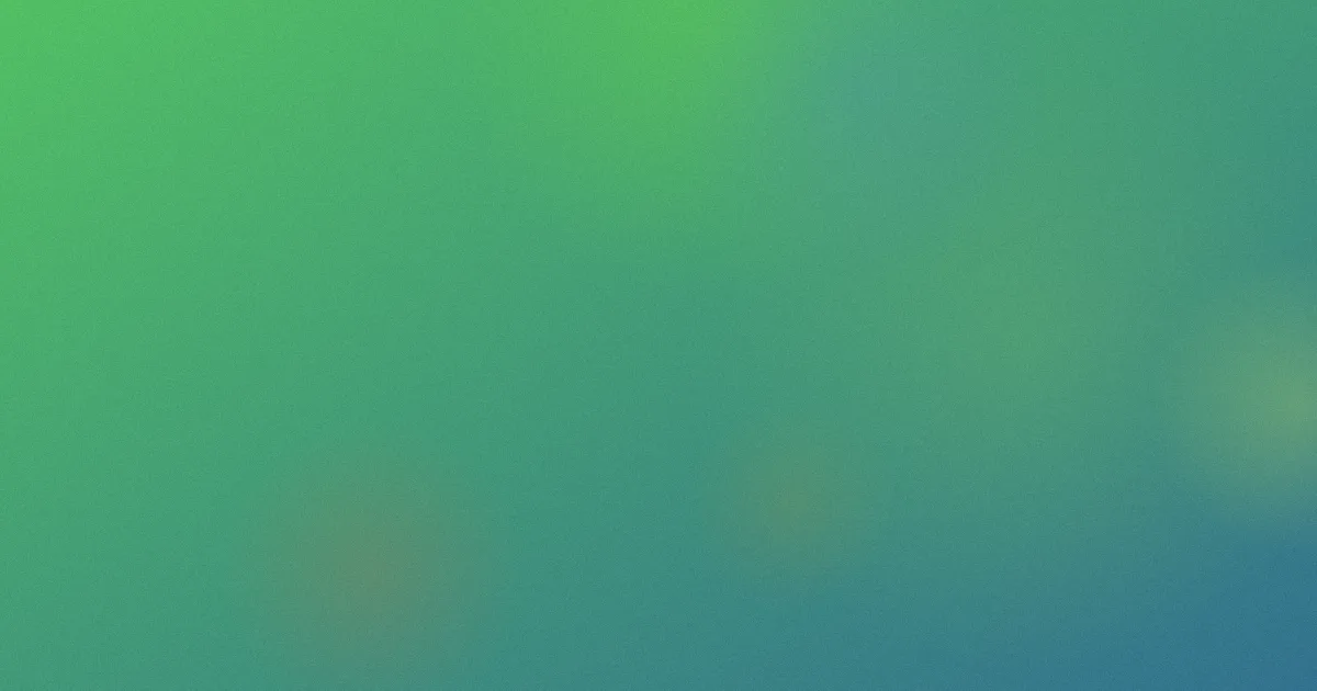 田中丽奈测评：避坑流程